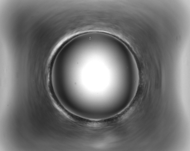 X0000085781511200703161153