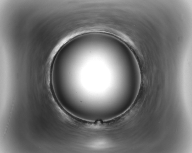 X0000085781512200703161153