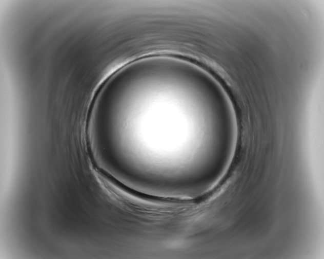 X0000085781513200703161153