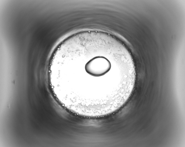 X0000085781514200703161153