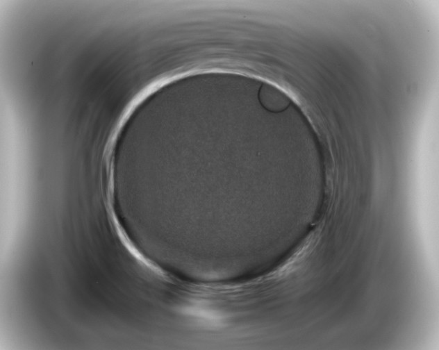 X0000085781515200703161153