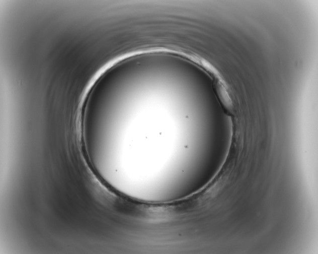 X0000085781516200703161153