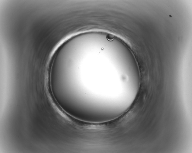 X0000085781518200703161154