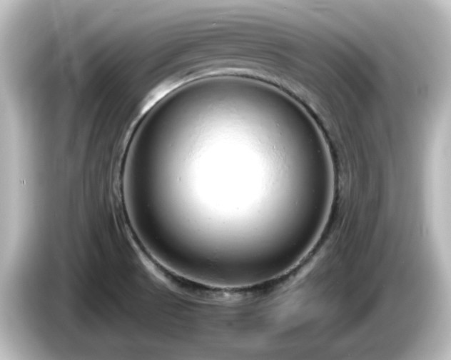 X0000085781521200703161154