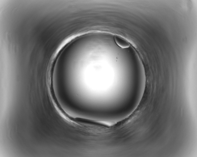 X0000085781523200703161154