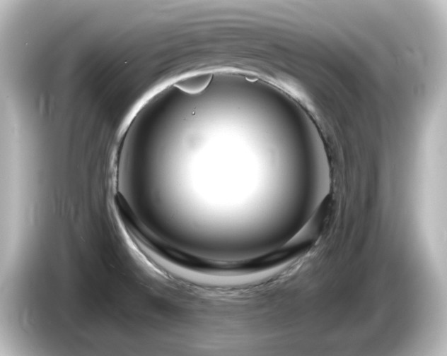X0000085781524200703161154
