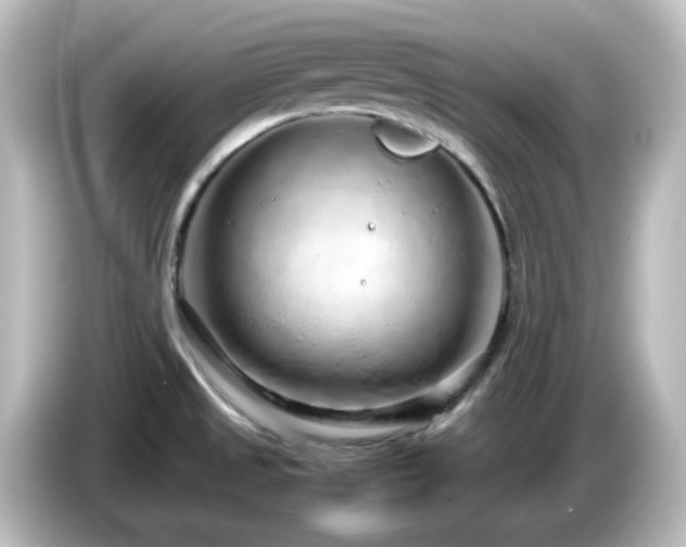 X0000085781525200703161154