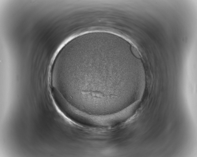 X0000085781527200703161154