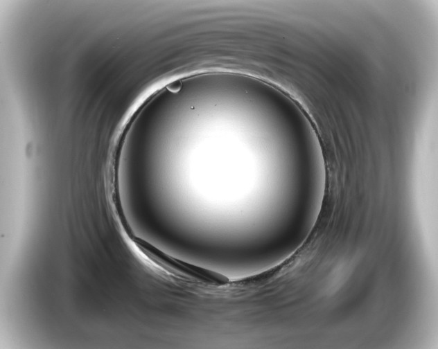 X0000085781531200703161154