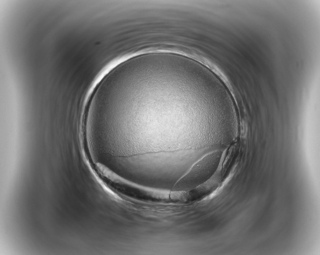 X0000085781533200703161154