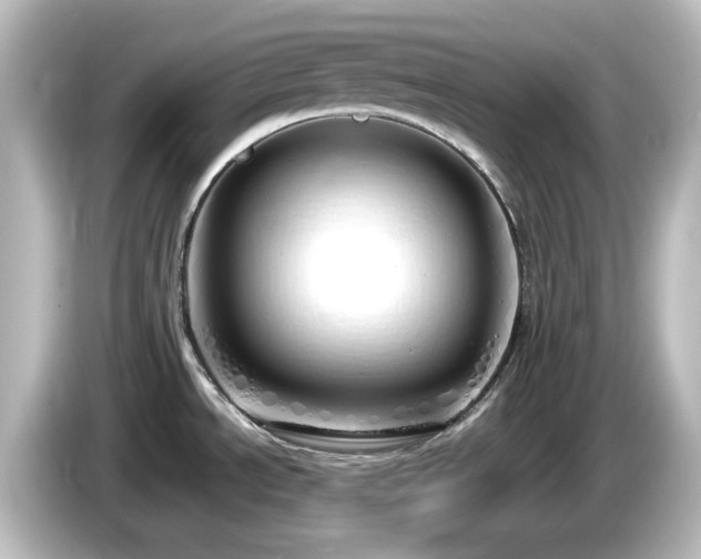 X0000085781534200703161154