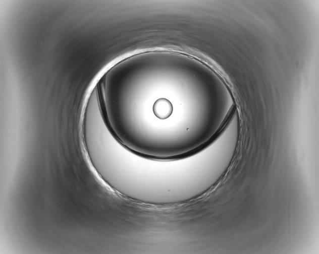 X0000085781536200703161154