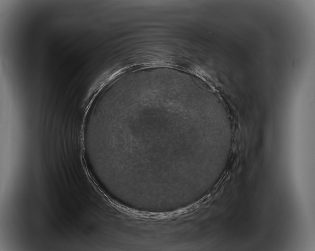 X0000085780002200703231256