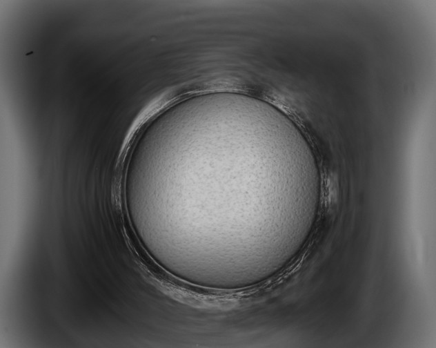 X0000085780004200703231256