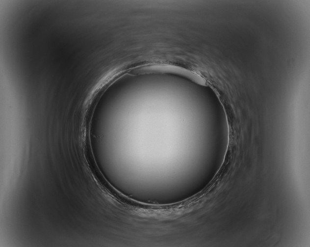 X0000085780005200703231256