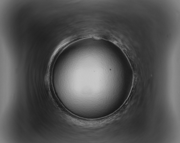 X0000085780006200703231256