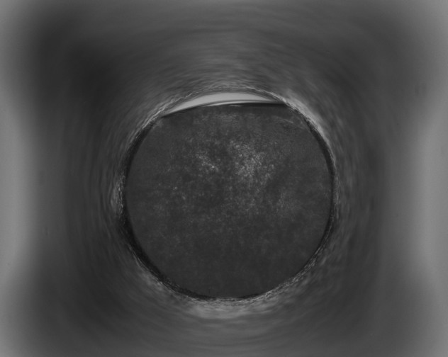 X0000085780009200703231256