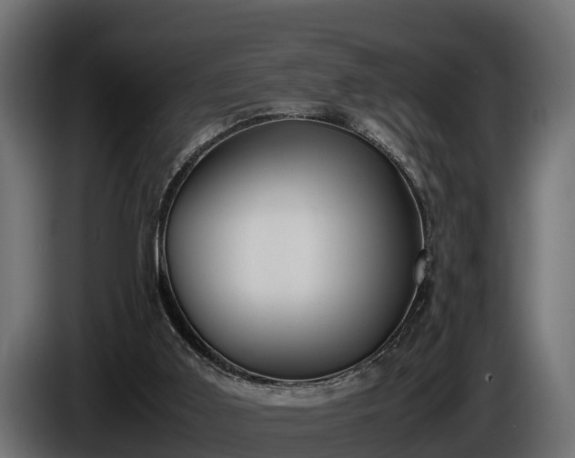 X0000085780011200703231256