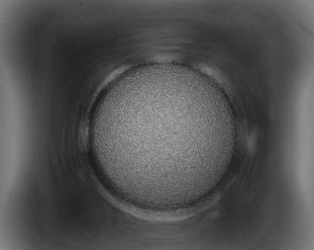 X0000085780016200703231256