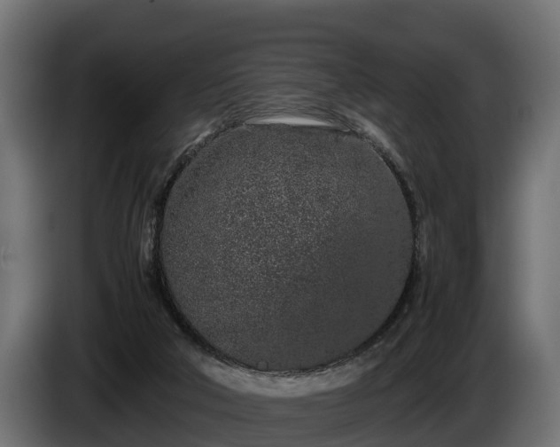 X0000085780018200703231256