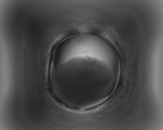 X0000085780019200703231256