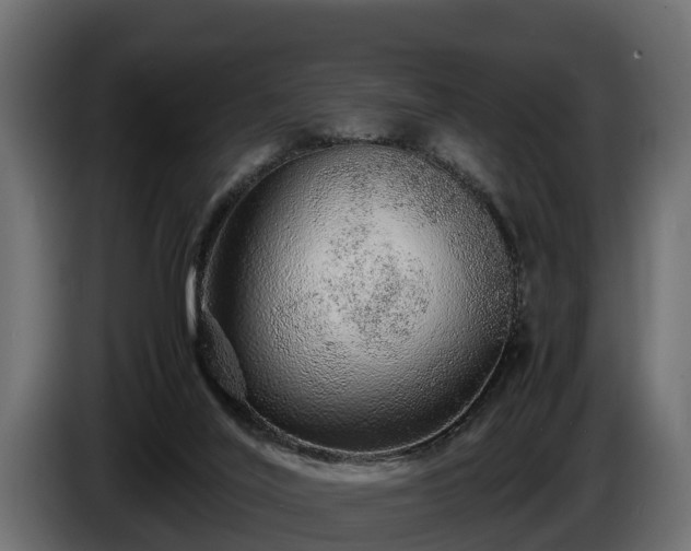 X0000085780020200703231256