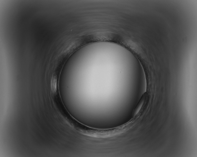 X0000085780021200703231256