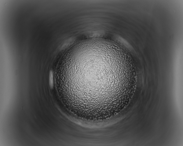 X0000085780022200703231256