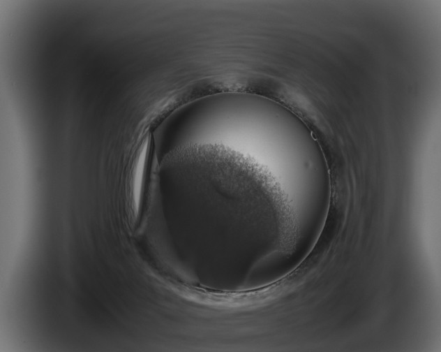 X0000085780023200703231256