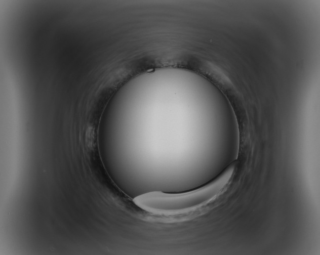 X0000085780025200703231256