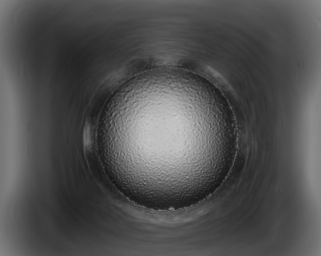 X0000085780026200703231256