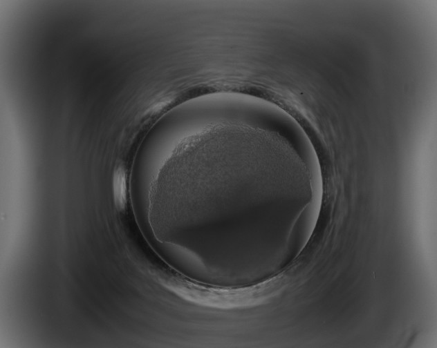 X0000085780027200703231256