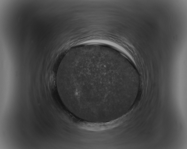 X0000085780029200703231256