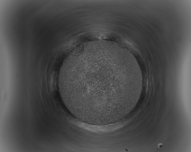 X0000085780030200703231255