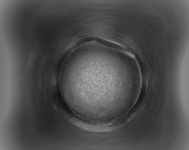 X0000085780032200703231255