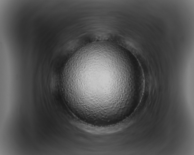 X0000085780034200703231255