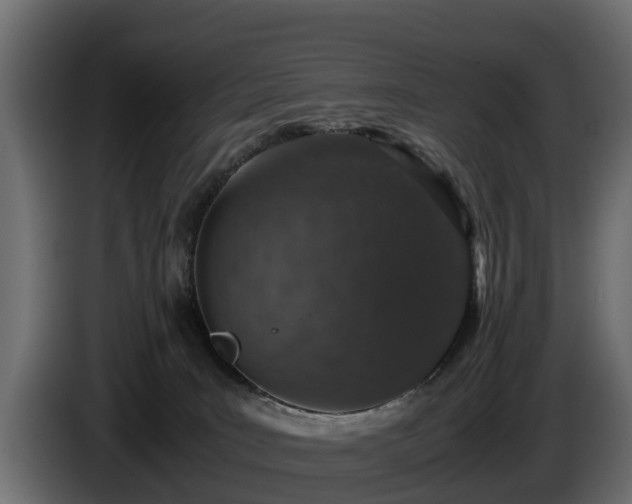 X0000085780035200703231255