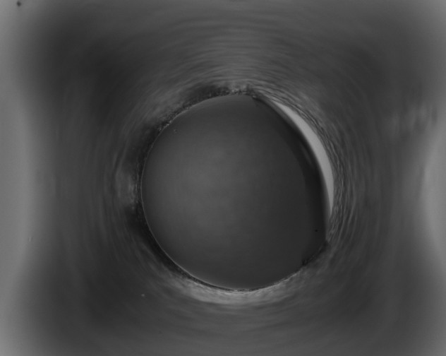 X0000085780039200703231255