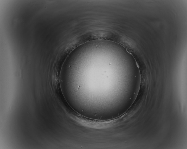 X0000085780040200703231255