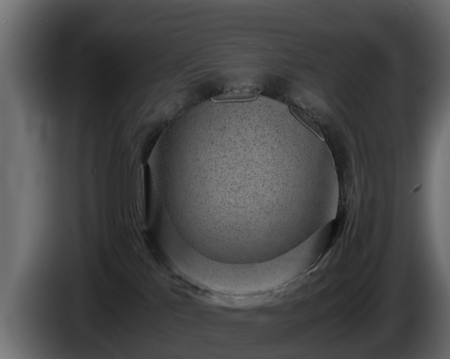 X0000085780041200703231255