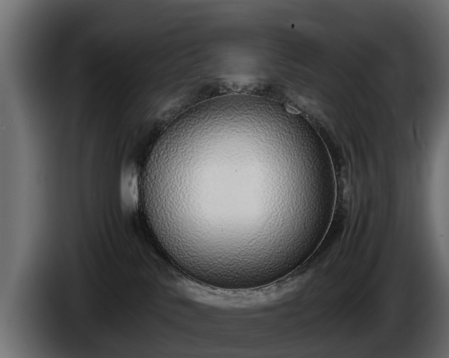 X0000085780042200703231255