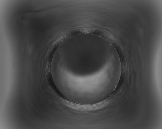 X0000085780043200703231255