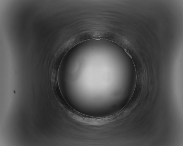 X0000085780044200703231255