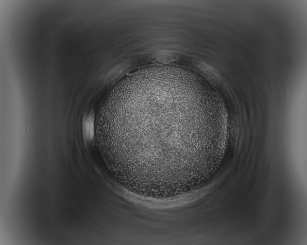 X0000085780046200703231255