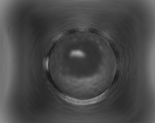 X0000085780047200703231255