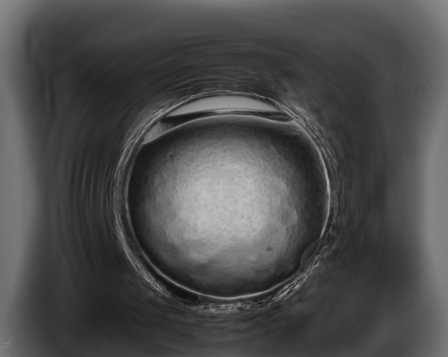 X0000085780049200703231255