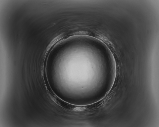 X0000085780051200703231255