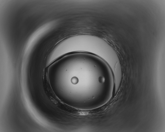 X0000085780052200703231255