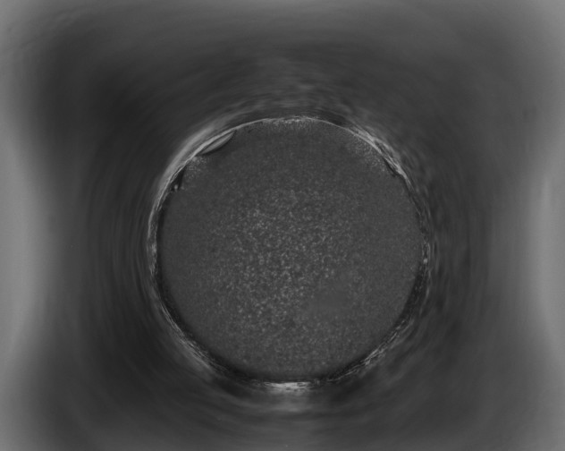 X0000085780053200703231255