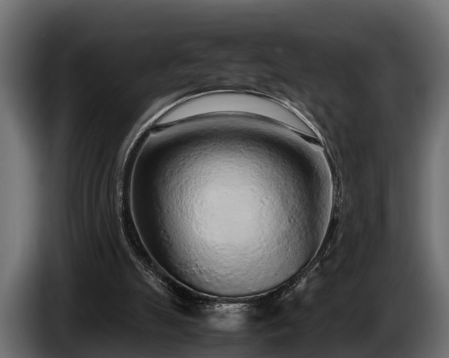 X0000085780055200703231255